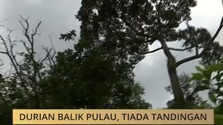 Astro AWANI